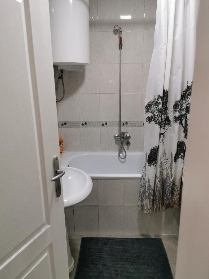 Apartmani Milica Krusevac Bagian luar foto